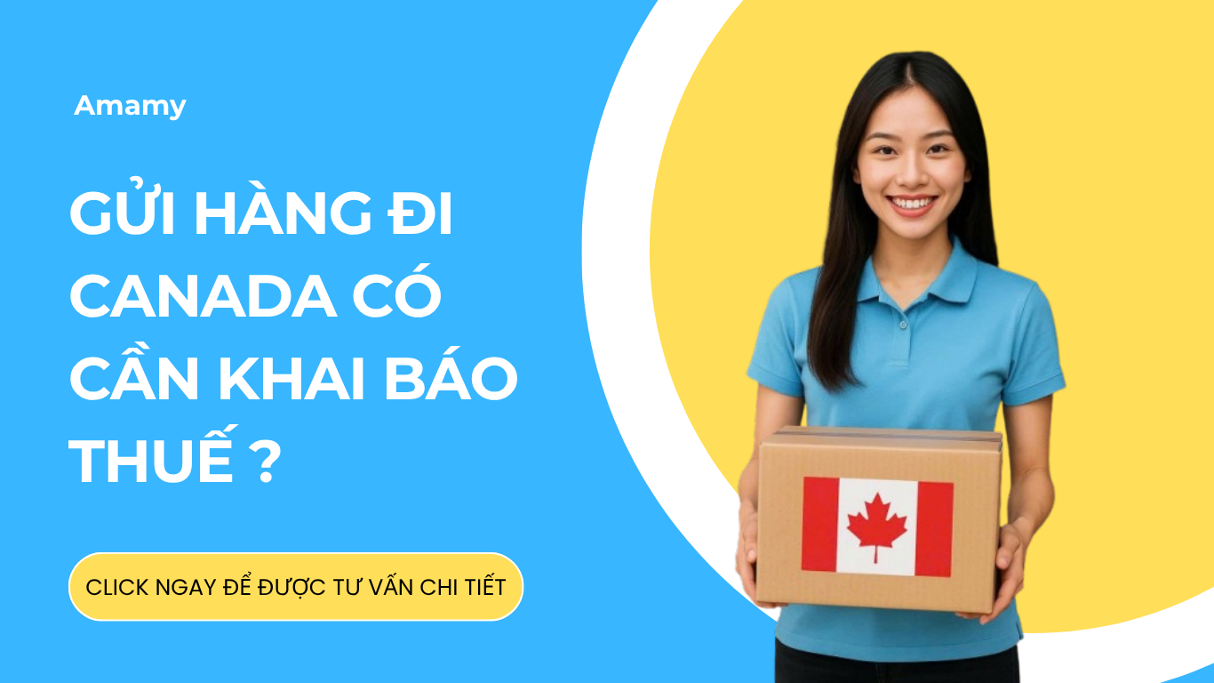 Gửi hàng đi Canada có cần khai thuế không? Hướng dẫn khai báo hải quan đúng chuẩn